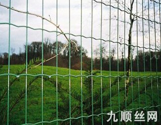 荷蘭網護欄2.jpg
